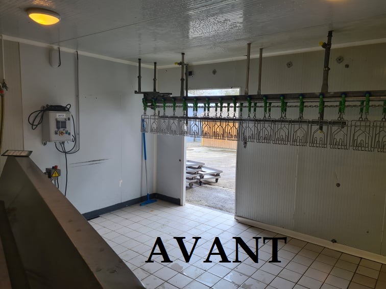 5 AVANT